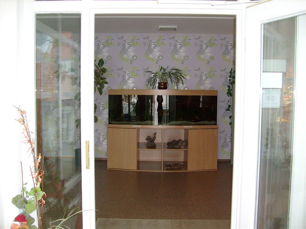 Villa Auszeit Hotel Garni เฮริงสดอร์ฟ ภายนอก รูปภาพ